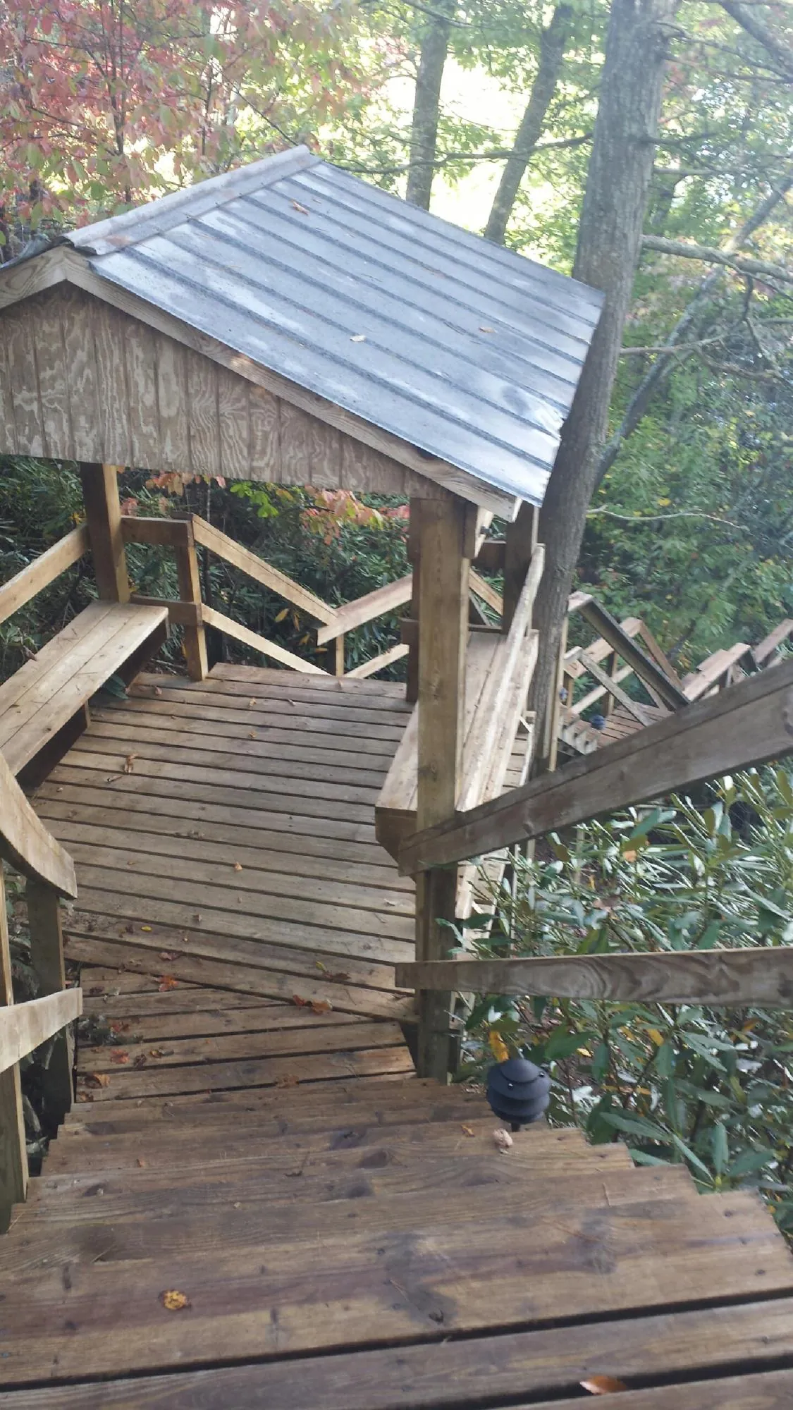 Metal roofed shelter over wooden steps on a wooded walkway — Skylight Repair & Installation work by our crew in Tar Heel