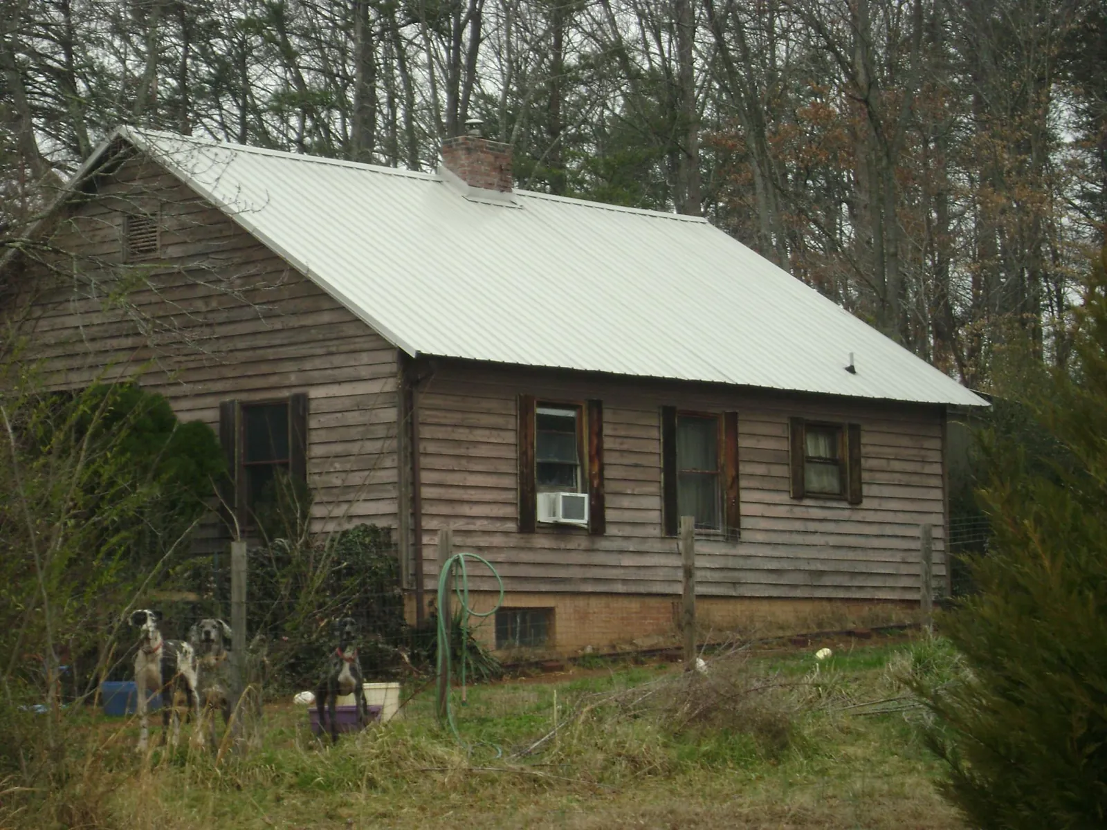 White metal roof on an old wood sided farmhouse, from a Asphalt Shingle Roof Repair job in Tar Heel